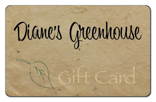 dianes greenhouse black text with a green leaf on a tan paper background